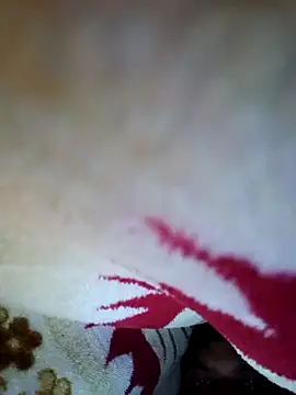 alone boy802 online show from October 2025 01:46:01 AM