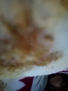 alone boy802 online show from November 2025 05:13:01 PM