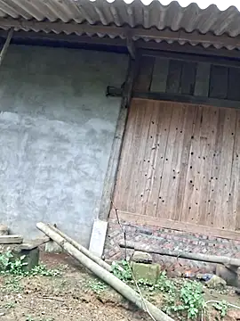 Snapshot of xuxulovezz chatting on November 2025 06:55:01 AM xuxulovezz online show from November 2025 06:55:01 AM