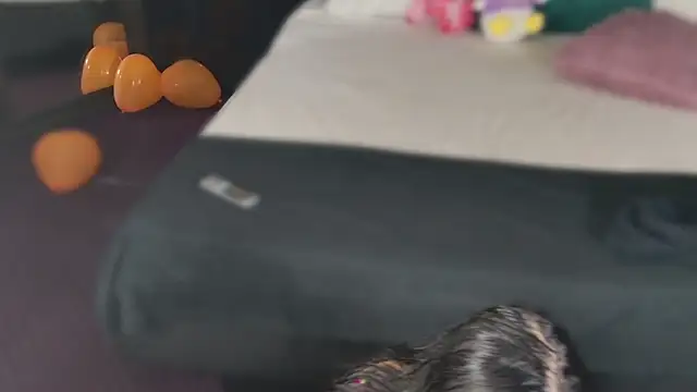 Snapshot of MeganSin_ chatting on November 2025 05:30:02 AM MeganSin online show from November 2025 05:30:02 AM