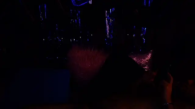 Snapshot of big_bearr chatting on October 2025 02:48:01 PM big bearr online show from October 2025 02:48:01 PM