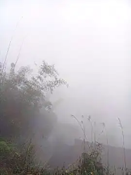 Mai lovely online show from March 2026 04:05:02 AM