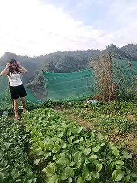 Meomeo-meo online show from November 2025 08:35:02 AM