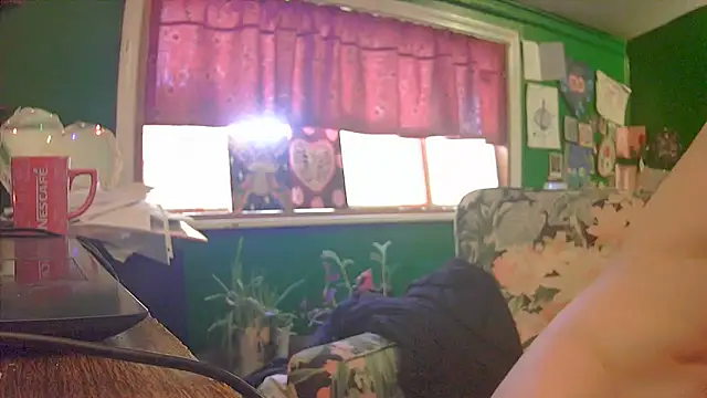 HippieDad333 online show from June 2026 11:06:01 PM
