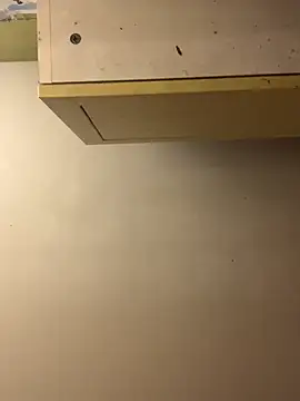 Snapshot of chtentation chatting on December 2025 04:50:02 AM chtentation online show from December 2025 04:50:02 AM