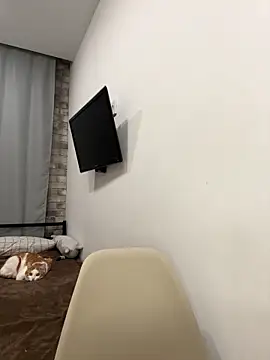 Im Regina online show from February 2026 04:36:02 PM