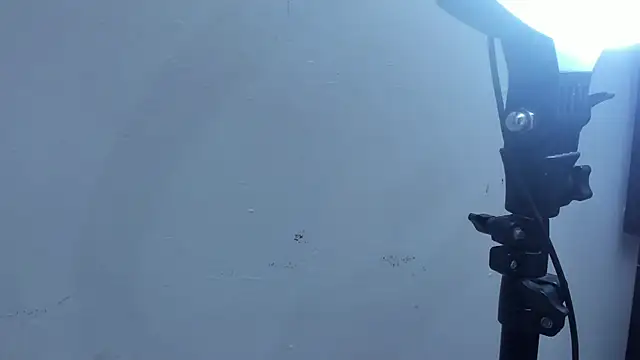 Kevinfox23cms online show from November 2025 06:46:01 AM