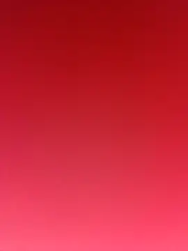 MacroP24 online show from January 2026 01:48:02 PM