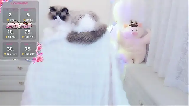 Coco-Di online show from May 2026 01:44:01 AM