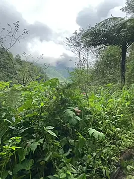 Penny39 online show from October 2025 01:36:02 AM