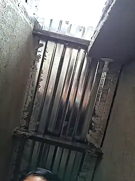 young dairy01 online show from March 2026 12:08:01 PM