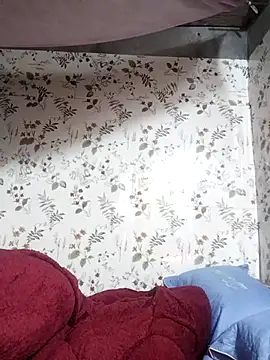 zhen-zo online show from November 2025 03:17:01 AM