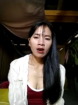 Snapshot of lmc-zz chatting on November 2025 01:29:01 AM lmc-zz online show from November 2025 01:29:01 AM