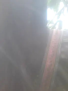 bree-zz online show from November 2025 01:48:02 AM