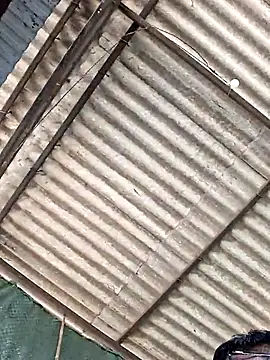 Snapshot of Shivaniamol1815 chatting on February 2026 05:00:02 AM Shivaniamol1815 online show from February 2026 05:00:02 AM