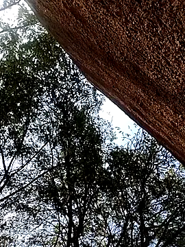 Rs sonam online show from December 2025 09:57:02 AM