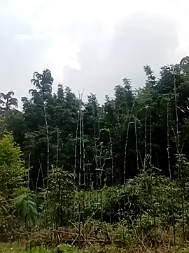 Snapshot of Khanhu_xx chatting on March 2026 01:32:01 AM Khanhu xx online show from March 2026 01:32:01 AM