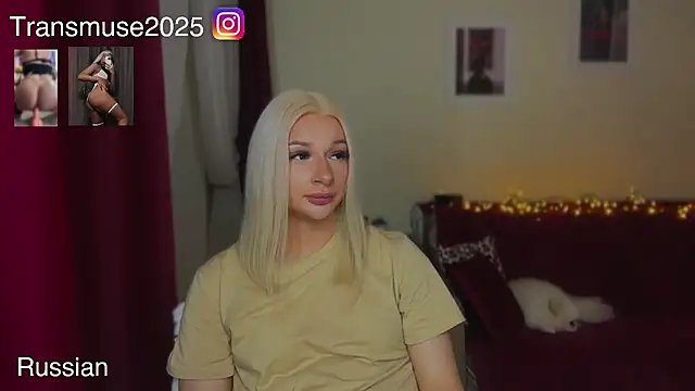 Snapshot of NikandJane chatting on December 2025 07:53:02 PM NikandJane online show from December 2025 07:53:02 PM