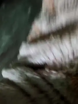 sam salman online show from February 2026 10:41:01 PM