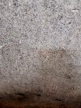 Snapshot of nagepalli chatting on November 2025 03:49:02 AM nagepalli online show from November 2025 03:49:02 AM