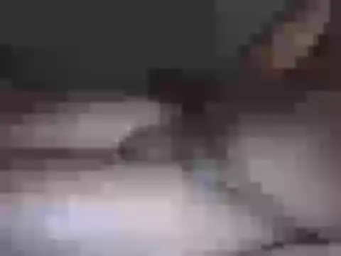 Hhhggghrrr3219 online show from March 2026 07:17:01 PM