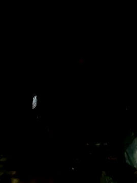 Snapshot of mntzz88 chatting on November 2025 11:07:02 PM mntzz88 online show from November 2025 11:07:02 PM