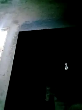 Snapshot of mntzz88 chatting on November 2025 11:53:01 AM mntzz88 online show from November 2025 11:53:01 AM