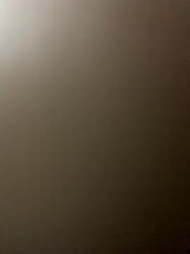 -bunny06 online show from October 2025 08:19:01 PM