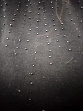 PEEHU-50 online show from March 2026 02:17:02 AM