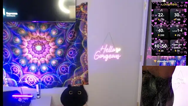 cinderellie online show from November 2025 03:16:01 AM