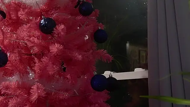 Snapshot of Vox_Personas chatting on December 2025 06:41:02 AM Vox Personas online show from December 2025 06:41:02 AM