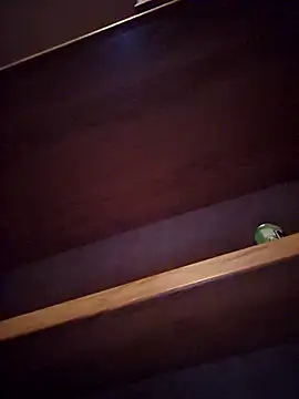 Snapshot of DeeBestEver chatting on November 2025 01:16:02 AM DeeBestEver online show from November 2025 01:16:02 AM