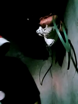 Snapshot of bae-bae chatting on November 2025 11:22:01 AM bae-bae online show from November 2025 11:22:01 AM