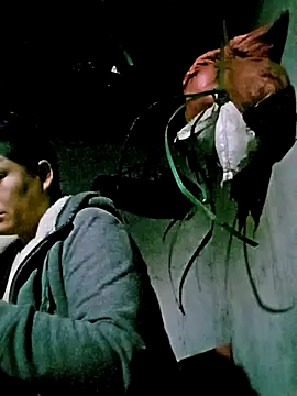 Snapshot of bae-bae chatting on November 2025 11:16:02 PM bae-bae online show from November 2025 11:16:02 PM