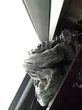 Snapshot of amanWildstalion chatting on November 2025 07:19:01 AM amanWildstalion online show from November 2025 07:19:01 AM