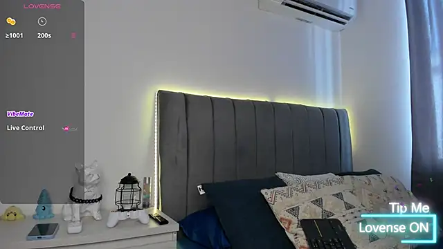 Snapshot of JARETHH chatting on November 2025 02:07:02 PM JARETHH online show from November 2025 02:07:02 PM