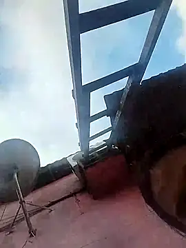 Jg135667 online show from November 2025 11:01:02 AM