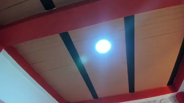 Stefany Andruw online show from November 2025 01:10:02 PM