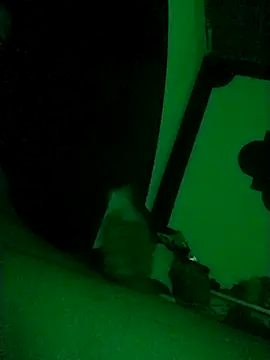 Snapshot of Buddha289 chatting on February 2026 09:41:01 AM Buddha289 online show from February 2026 09:41:01 AM