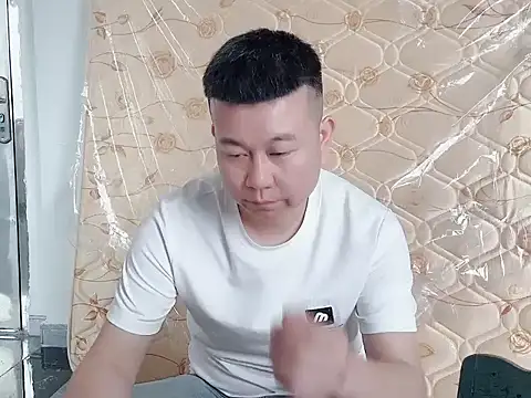 dachui 168 online show from May 2026 08:33:02 AM