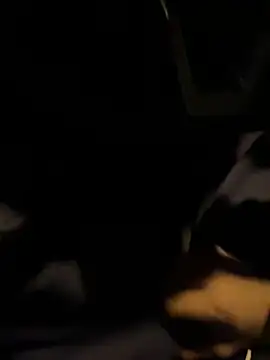 Snapshot of ayrtonmen chatting on October 2025 04:43:02 AM ayrtonmen online show from October 2025 04:43:02 AM