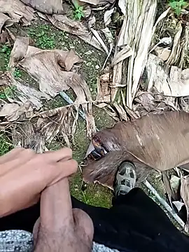 Snapshot of Sikici0734 chatting on November 2025 09:19:02 AM Sikici0734 online show from November 2025 09:19:02 AM