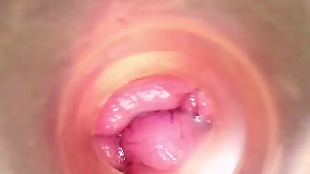 shannon kinne  online show from March 2026 05:46:01 PM