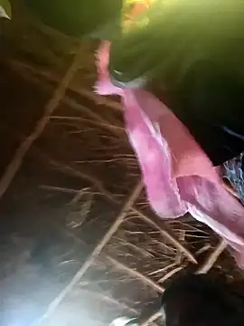 Janvi tv online show from October 2025 05:19:01 AM