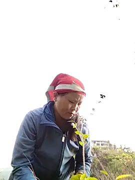 Snapshot of sumaybae chatting on October 2025 01:09:02 AM sumaybae online show from October 2025 01:09:02 AM