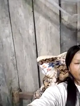 sumaybae online show from June 2026 12:59:01 PM