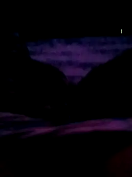 Snapshot of veintitres23 chatting on November 2025 07:52:02 AM veintitres23 online show from November 2025 07:52:02 AM