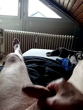 Snapshot of ImperlPerverso59 chatting on October 2025 12:24:02 PM ImperlPerverso59 online show from October 2025 12:24:02 PM