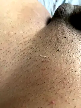 Snapshot of leiteiro2002 chatting on November 2025 08:20:02 PM leiteiro2002 online show from November 2025 08:20:02 PM