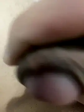 Snapshot of leiteiro2002 chatting on December 2025 11:37:01 AM leiteiro2002 online show from December 2025 11:37:01 AM